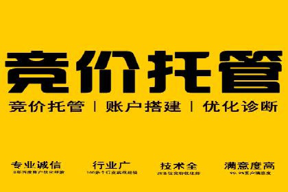百度推广运营实战：中小企业如何突围